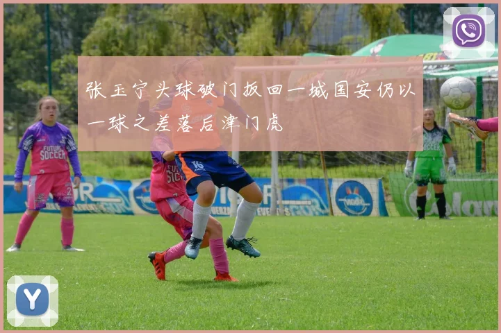 张玉宁头球破门扳回一城国安仍以一球之差落后津门虎