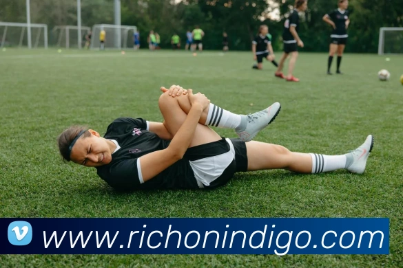 篮球全明星赛阵容公布 詹姆斯领衔库里杜兰特入选引关注